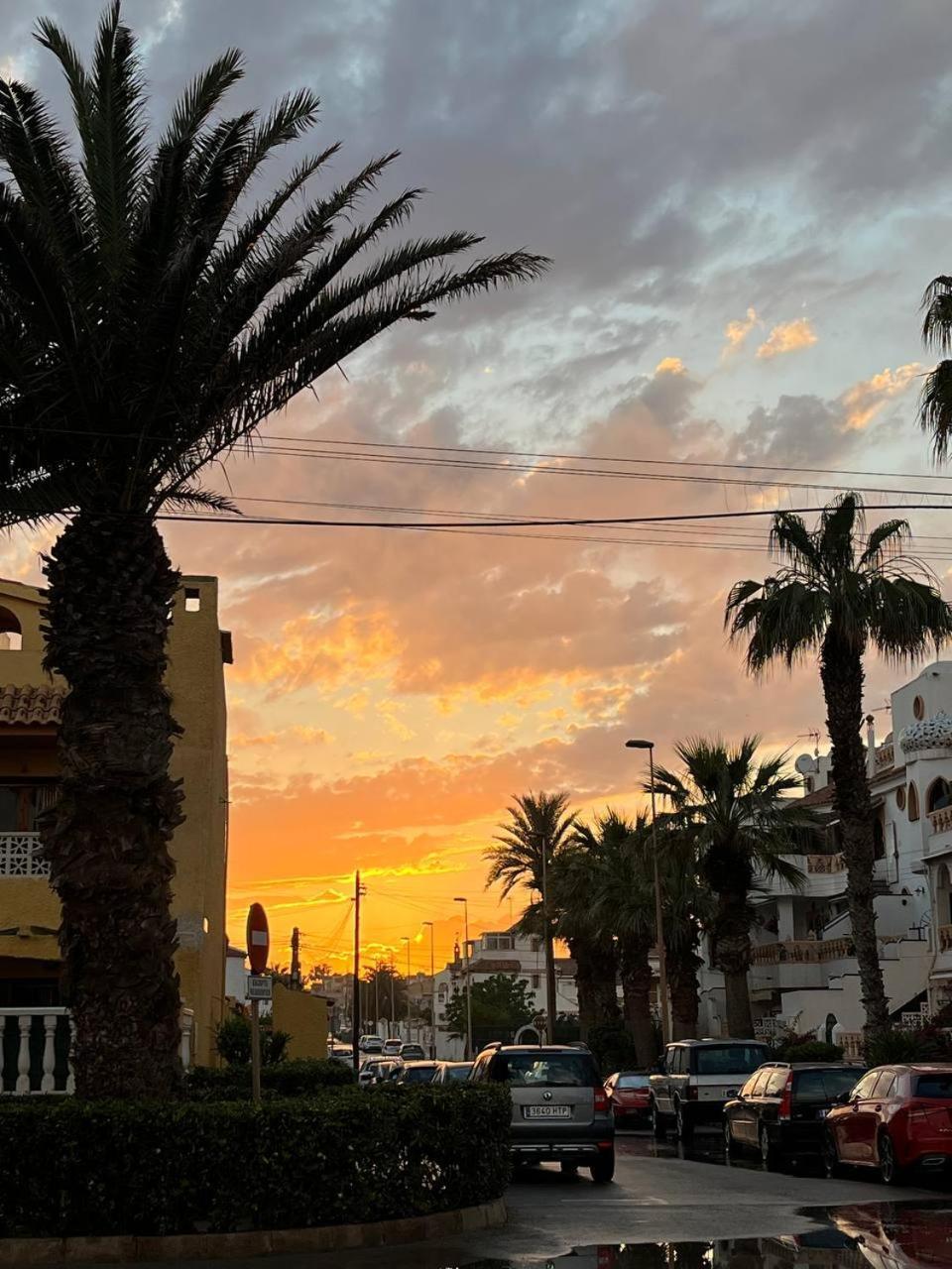 Solymar Torrevieja